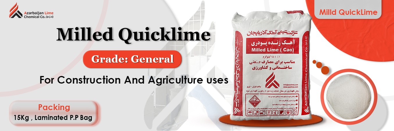 پودری معمولی انگلیسی